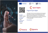 \\192.168.29.1\servidorficheros\02 Proyectos\01 Quadralia\08 Subvenciones\2025_02 Pyme Digital - Camara de Tui\Mensajeros Porriño\Justificacion\pyme-digital-2025-mensajeros-porrino.png